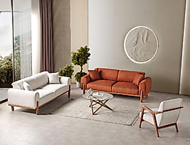 favori salon takımı